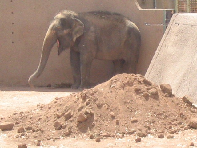 618x457 pixels (163K)